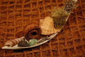 Brandon-Thatchers-coco-leaf-palm-ring-shell-moss-lichen-exotics-coir-pillow-e1506431826688.jpg Brandon-Thatchers-coco-leaf-palm-ring-shell-moss-lichen-exotics-coir-pillow-e1506431826688.jpg
