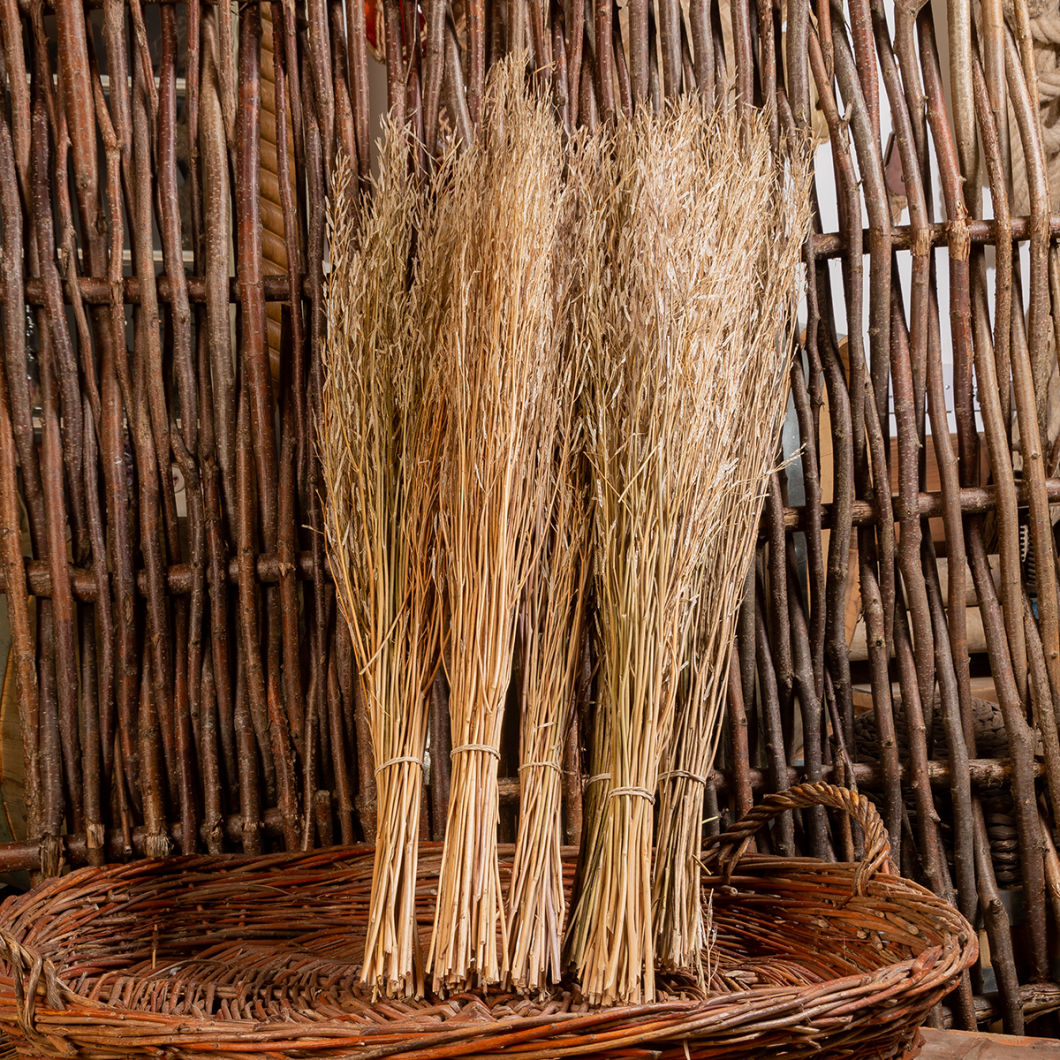 Sarass Grass, 1 m long - www.BrandonThatchers.co.ukjpg