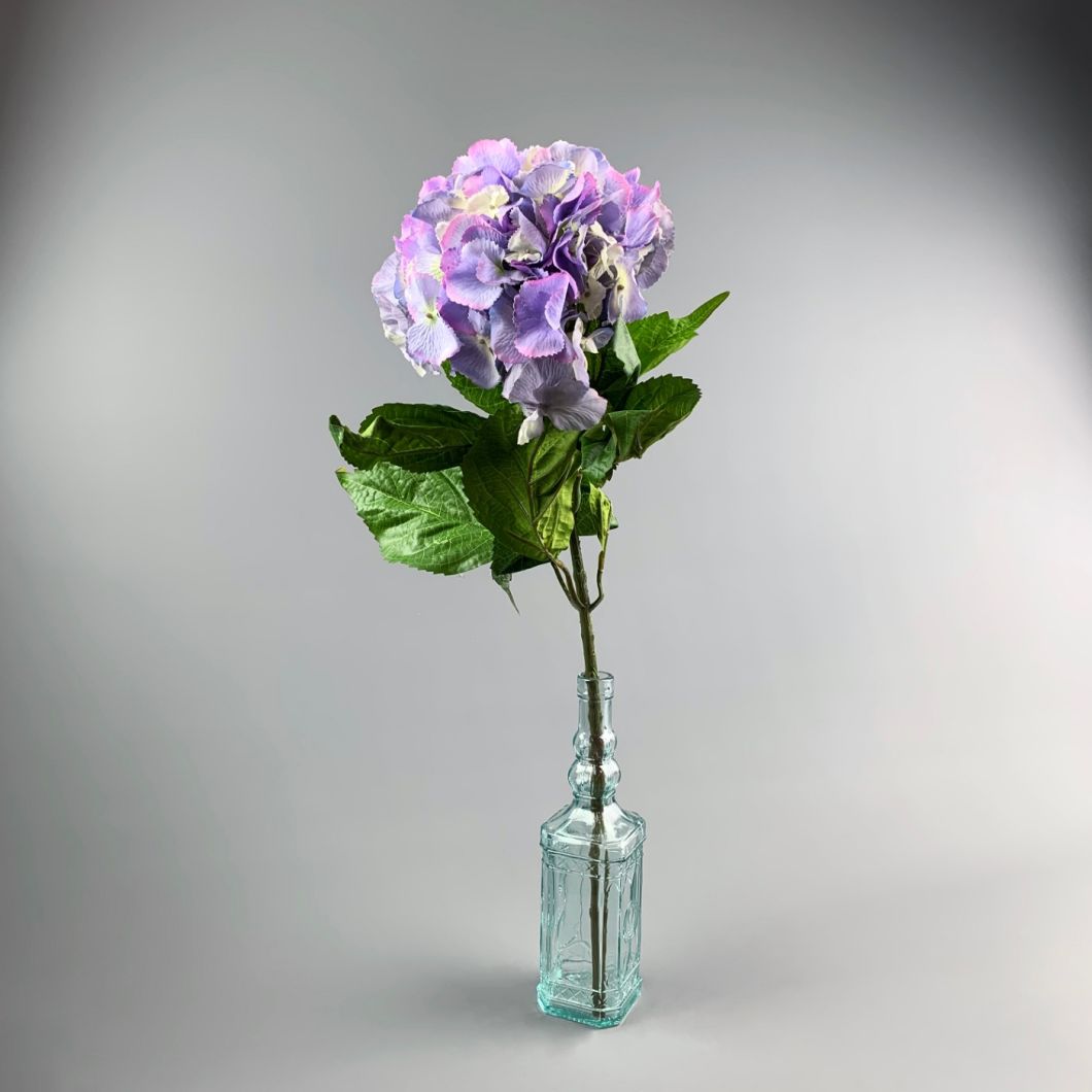 Lavender Hydrangea - www.BrandonThathers.co.uk IMG_0922.jpg