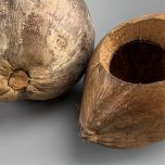 Coconut shell Green - www.BrandonThathers.co.uk IMG_3626.jpg