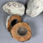 www.brandonthatchers.co.uk Green Wash Coconute 3 GREEN WASH COCONUT 4.jpg