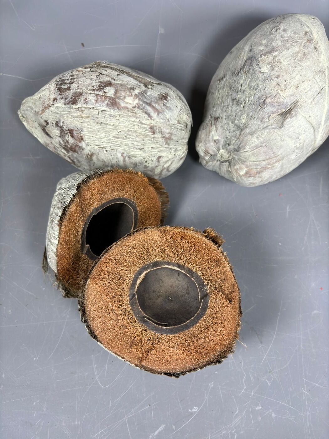 www.brandonthatchers.co.uk Green Wash Coconute 3 GREEN WASH COCONUT 4.jpg