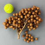 IMG_5967.jpeg