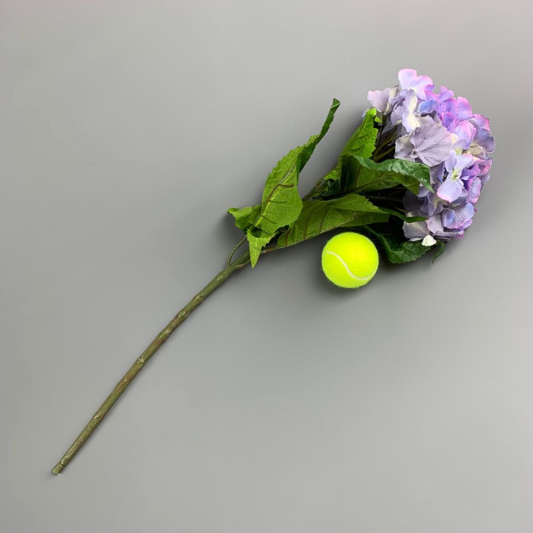 Lavender Hydrangea - www.BrandonThathers.co.uk IMG_0927.jpg