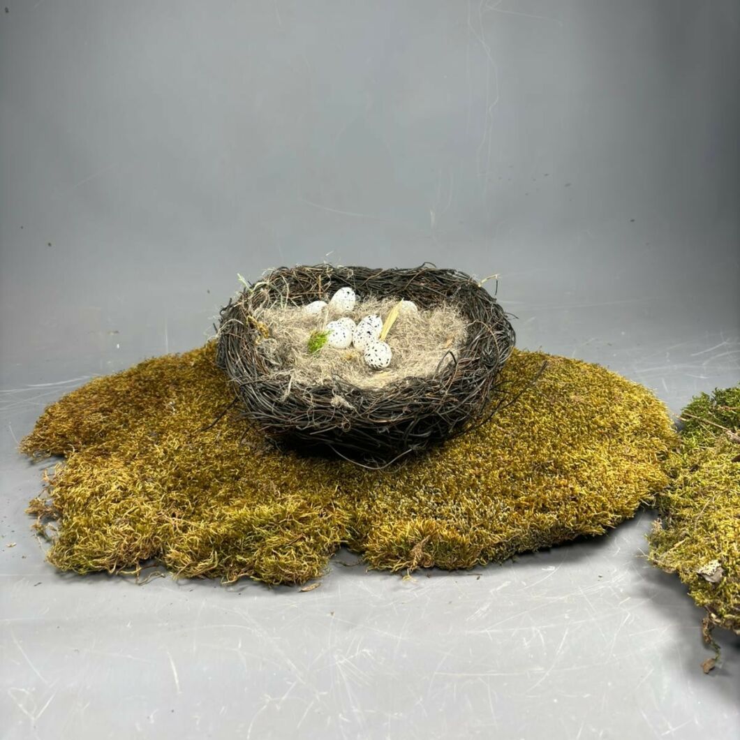 FLAT MOSS 3.jpg