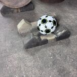 IMG_E3118.jpg