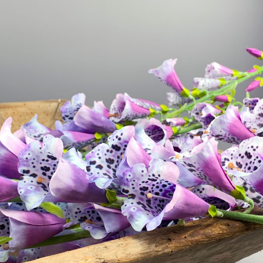 Foxglove, Purple, 107 cm - www.BrandonThatchers.co.uk Foxglove, Purple, 107 cm - www.BrandonThatchers.co.uk