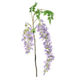 Wisteria Spray Lilac.jpg