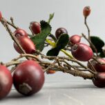 www.brandonthatchers.co.uk Rose hip Branch 5 RHB5.jpeg