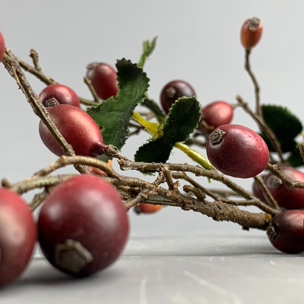 www.brandonthatchers.co.uk Rose hip Branch 5 RHB5.jpeg