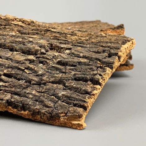 Birch Bark Bundle, 5 piece, approx. 40 cm x 15 cm. Natural rustic texture