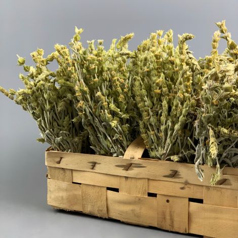 Mountain Tea, approx. 40 cm long by 10 cm wide dried herb bunch
