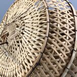 Brandon Thatchers Products IMG_2454.jpeg