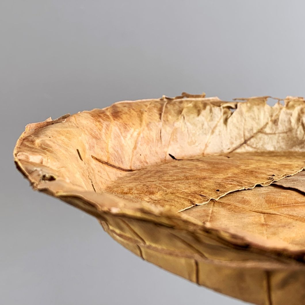 Leaf Plates – www.BrandonThatchers.co.uk IMG_5261.jpg