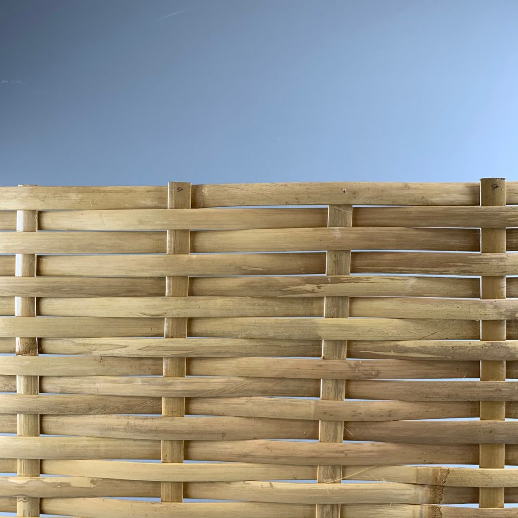 Bamboo Panel- www.BrandonThathers.co.uk IMG_5436.jpeg