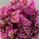Statice, Pink Bunch Dried Flower