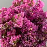Dried Flowers www.brandonThatchers.co.uk Statice, Pink Bunch Dried Flower