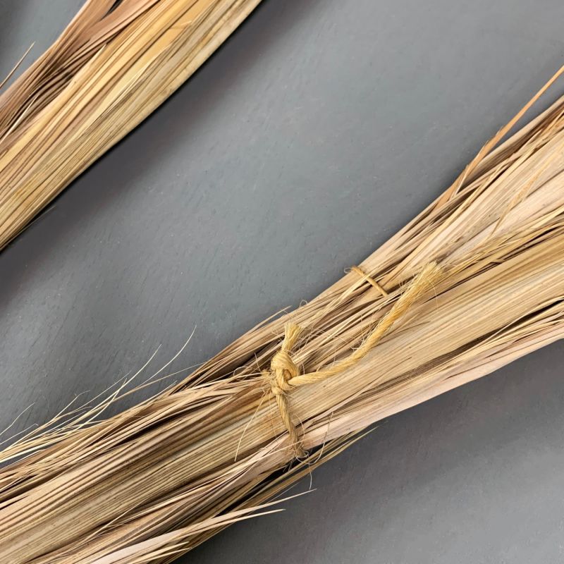 Palm Frond, approx. 3.3 m tall. Natural, dried material