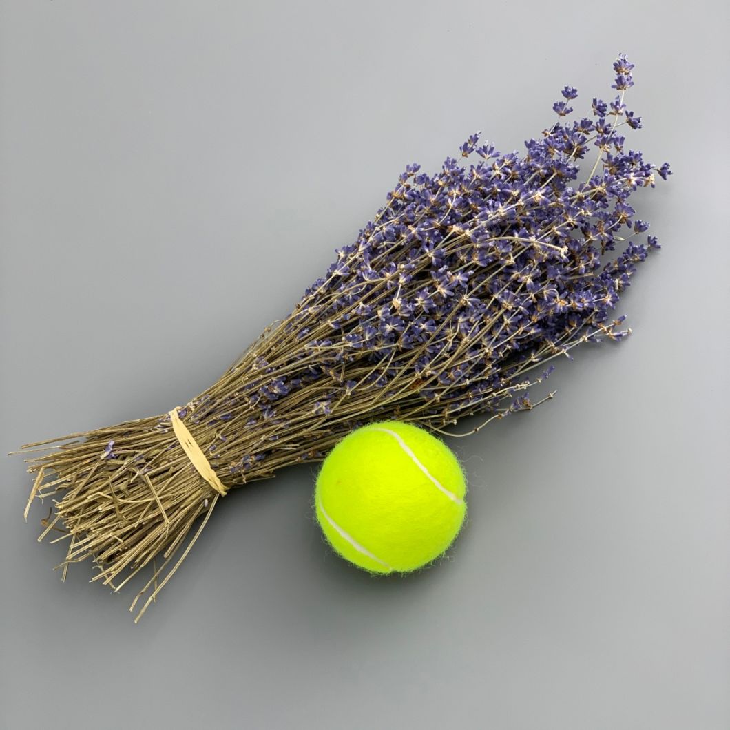Lavender 30cm long - www.BrandonThatchers.co.uk