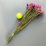 Dried Flowers www.brandonThatchers.co.uk Statice Pink Bunch Dried Flowers