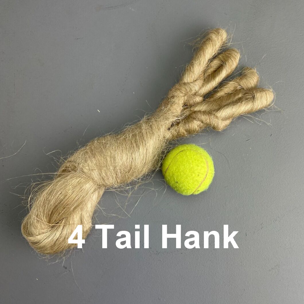 4 tail copy.jpg