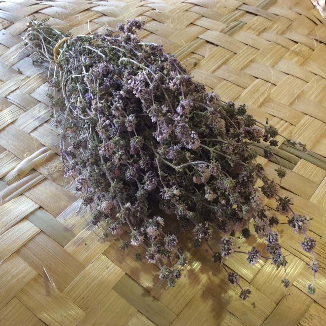 Forest Mint, approx. 25 cm - www.BrandonThatchers.co.uk