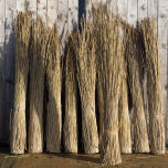 REEDS-42.jpg