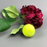 Plum Hydrangea - www.BrandonThathers.co.uk IMG_0974.jpg