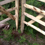 Sheep Hurdle Split Chestnut - www.brandonthatchers.co.uk GATE HURDEL 2 W.jpg