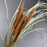 Bulrushes Stems x 5, approx. 80 cm tall, dried